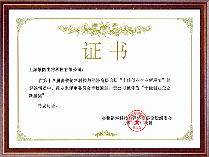 十佳創(chuàng)業(yè)企業(yè)新星獎
