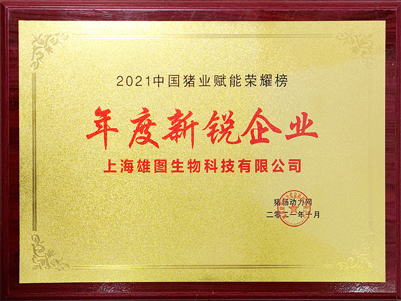 年度新銳企業(yè)