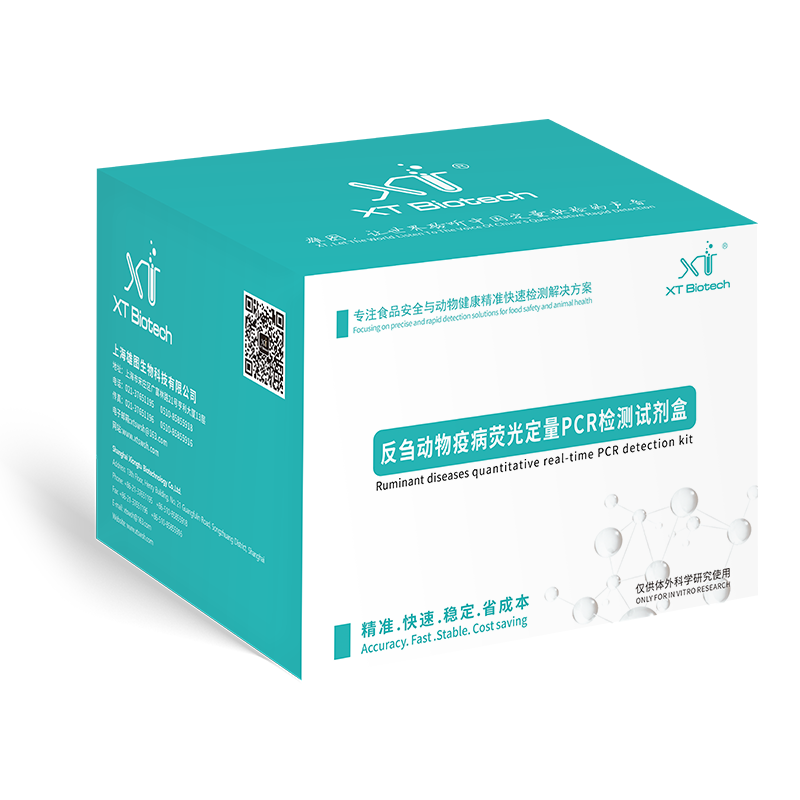 Ruminant fluorescent quantitative PCR detection kit